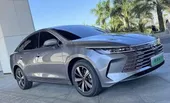BYD King - Miniatura 2