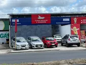 BYD Dolphin - Miniatura 17