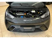 BYD Dolphin Mini - Miniatura 4