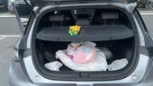BYD Dolphin - Miniatura 9