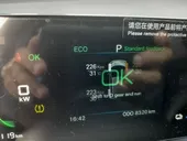 BYD Dolphin Mini - Miniatura 6