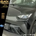 Foto de um byd dolphin mini.