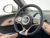 BYD Dolphin Mini - Miniatura 17
