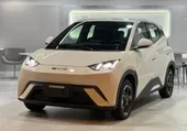 BYD Dolphin Mini - Miniatura 1