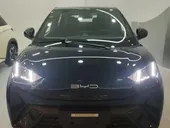 BYD Dolphin Mini - Miniatura 3