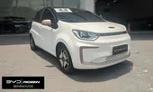 JAC E-JS1 - Miniatura 1
