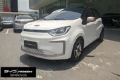 JAC E-JS1 - Miniatura 2