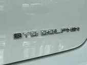 BYD Dolphin - Miniatura 12