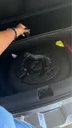 BYD Dolphin - Miniatura 7