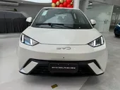 BYD Dolphin Mini - Miniatura 2