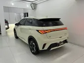 BYD Dolphin - Miniatura 1