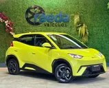 BYD Dolphin Mini - Miniatura 1