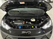 BYD Dolphin Mini - Miniatura 9