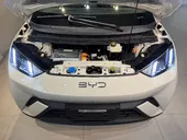 BYD Dolphin Mini - Miniatura 16