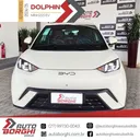 BYD Dolphin Plus - Miniatura 2