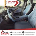 BYD Dolphin Plus - Miniatura 10
