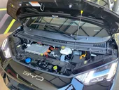 BYD Dolphin Mini - Miniatura 6