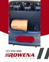 BYD Dolphin Plus - Miniatura 2
