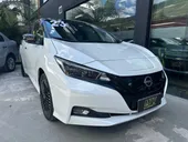 Nissan Leaf - Miniatura 1