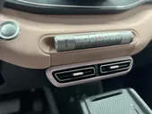 BYD Dolphin Mini - Miniatura 8