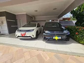 BYD Dolphin - Miniatura 3