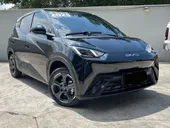 BYD Dolphin Plus - Miniatura 2