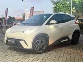 BYD Dolphin - Miniatura 1