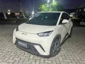 BYD Dolphin - Miniatura 9