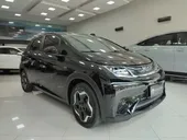 BYD Dolphin - Miniatura 1