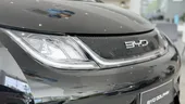 BYD Dolphin - Miniatura 4