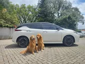 Nissan Leaf - Miniatura 2
