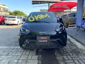 BYD Dolphin Mini