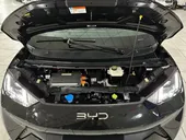 BYD Dolphin Mini - Miniatura 13