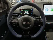 BYD Dolphin Mini - Miniatura 16