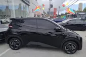 BYD Dolphin - Miniatura 1