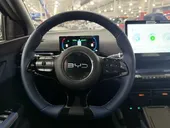 BYD Dolphin - Miniatura 11