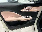 BYD Dolphin Mini - Miniatura 7