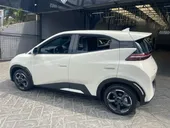 BYD Dolphin Mini - Miniatura 7