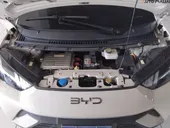 BYD Dolphin - Miniatura 6