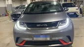 Foto de um byd dolphin.