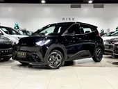 BYD Dolphin Mini - Miniatura 1