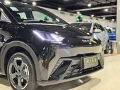 BYD Dolphin Mini - Miniatura 5