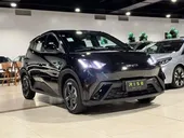 BYD Dolphin Mini - Miniatura 7