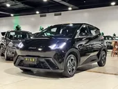 BYD Dolphin Mini - Miniatura 12