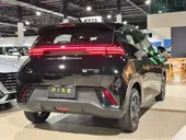 BYD Dolphin Mini - Miniatura 18