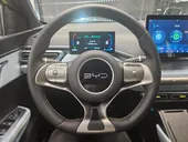 BYD Dolphin Mini - Miniatura 11