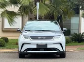 BYD Dolphin Plus - Miniatura 2