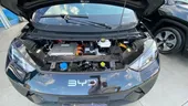 BYD Dolphin Mini - Miniatura 3