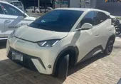 Foto de um byd dolphin mini.