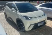 BYD Dolphin Mini - Miniatura 2
